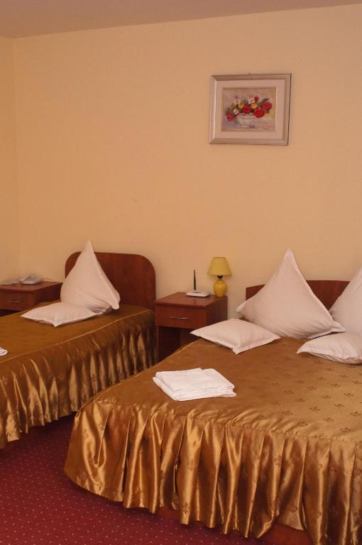 Hotel Delaf Cluj-Napoca Eksteriør billede