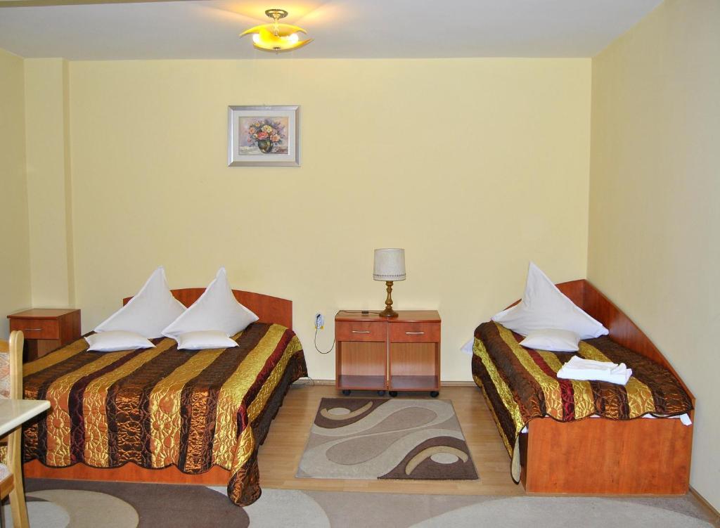 Hotel Delaf Cluj-Napoca Eksteriør billede
